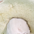 Slika Boletus reticulatus